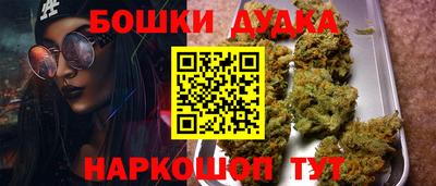 индика Ливны