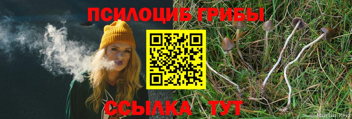 Дмитров  где можно купить   Вход с VPN  Галлюциногенные грибы мухоморы 