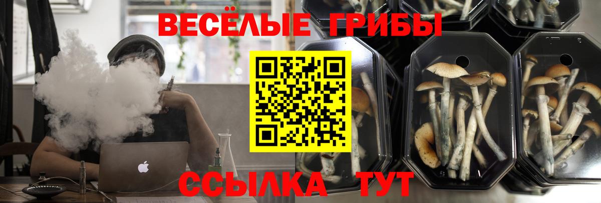 Alpha-PVP Дмитров